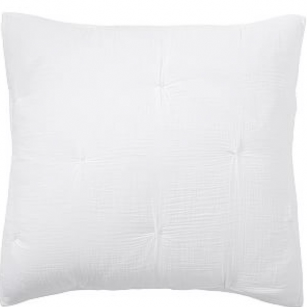 2 Pottery Barn Euro Quilted Shams